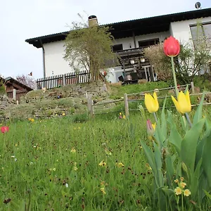 Haus Koblizek Apartment Waldkirchen